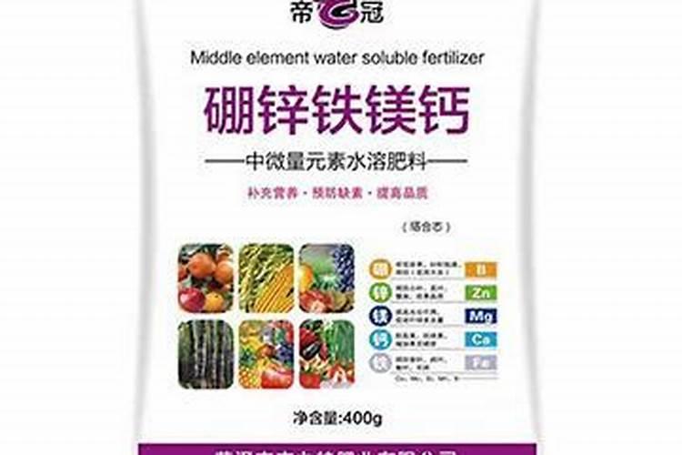 新栽的小树苗是早上浇水还是晚上？