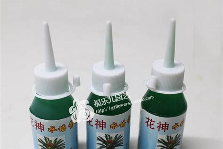 水培植物放什么长得好,可以放复合肥吗