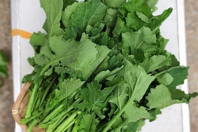 芸苔素喷后几天见效