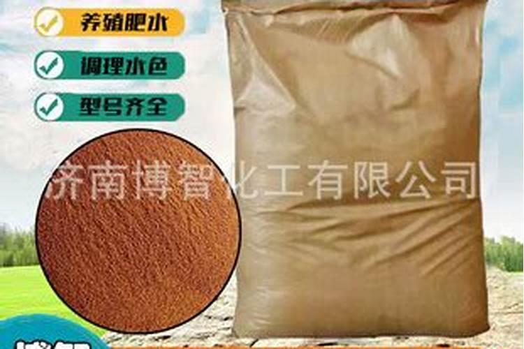 青菜的养殖方法和注意事项