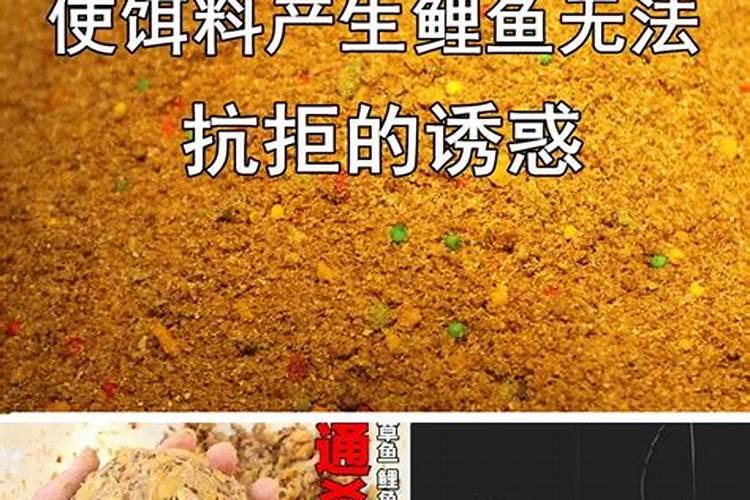 猪吃什么长得肥