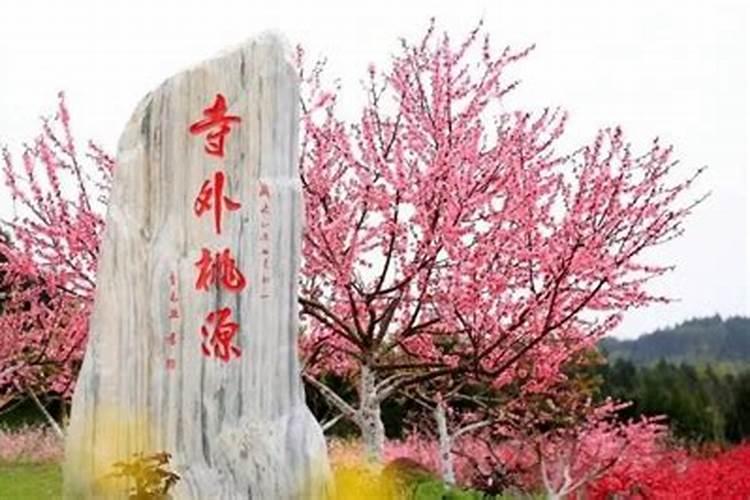 桃园冬季如何施肥 桃园冬季施肥方法