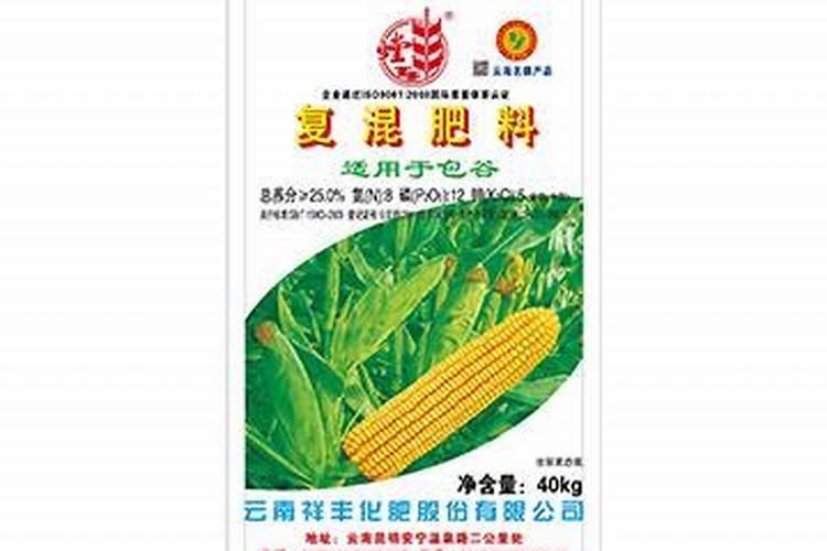 肥佬影音播放器怎么样？