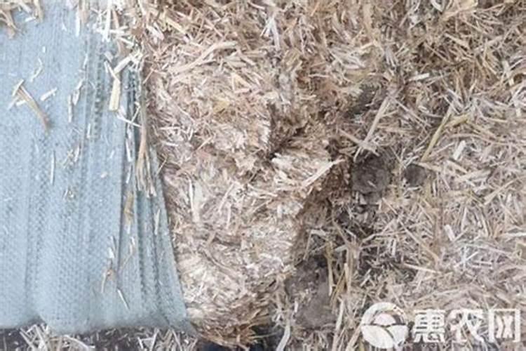 钾肥来源
