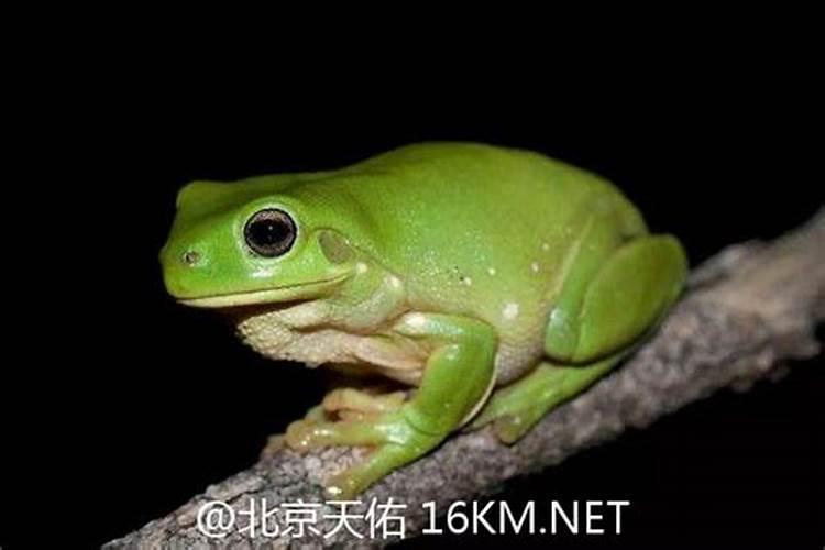 磷肥和钙肥能一起用吗 磷肥是酸性还是碱性的