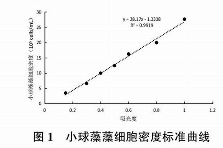 小球藻在家怎么培养