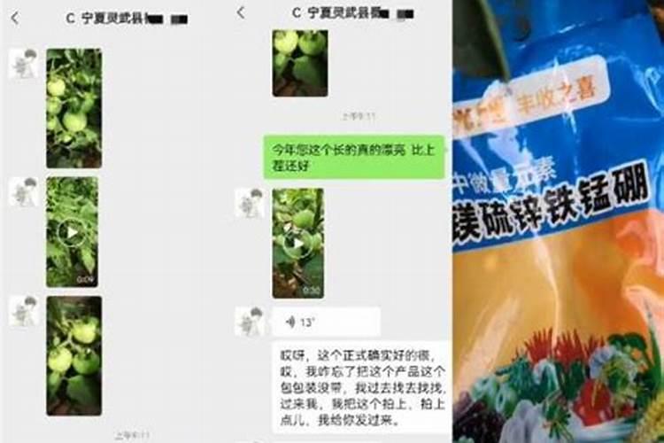 大樱桃春季上什么肥料
