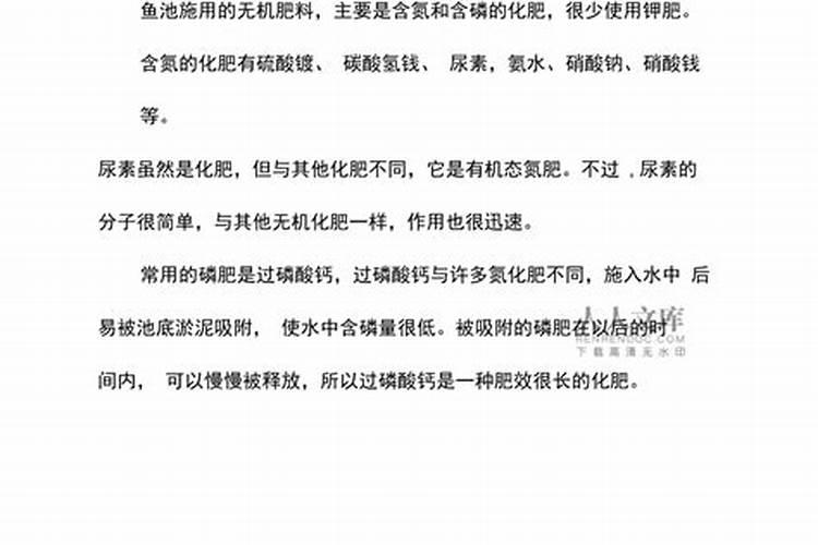 鱼的饲养养殖方法