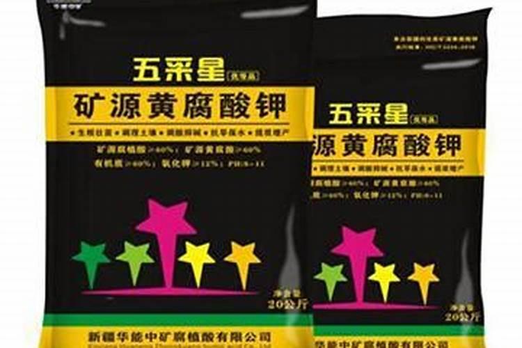 如何种植红瓜子