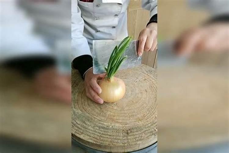 方法和常用肥料种类有哪些