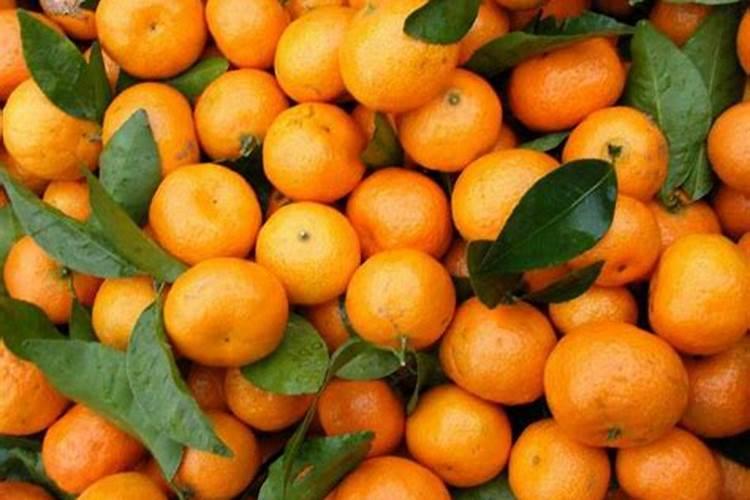 什么肥料属于氮肥、哪几种肥料属于氮肥