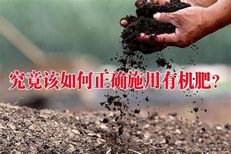 有机肥怎么使用