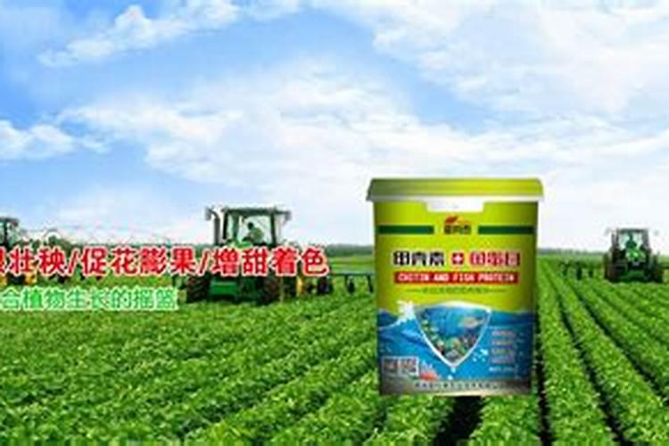 氮肥施用方法及注意事项