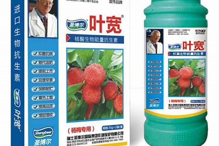 苹果树开花后怎样管理