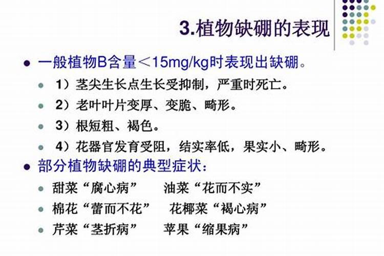 微量元素肥料哪家好