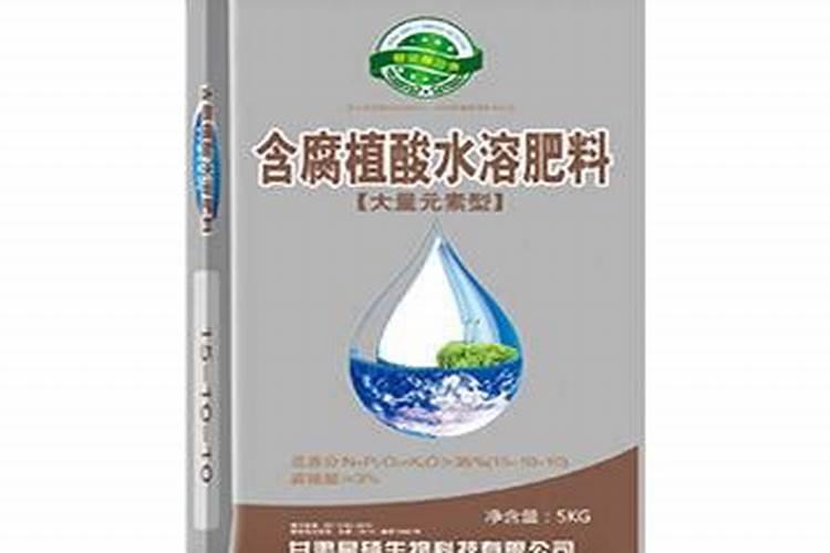 多肉植物施什么肥最好