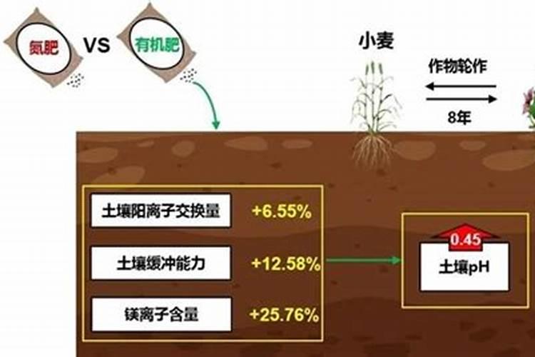 黄瓜追肥用什么肥料好