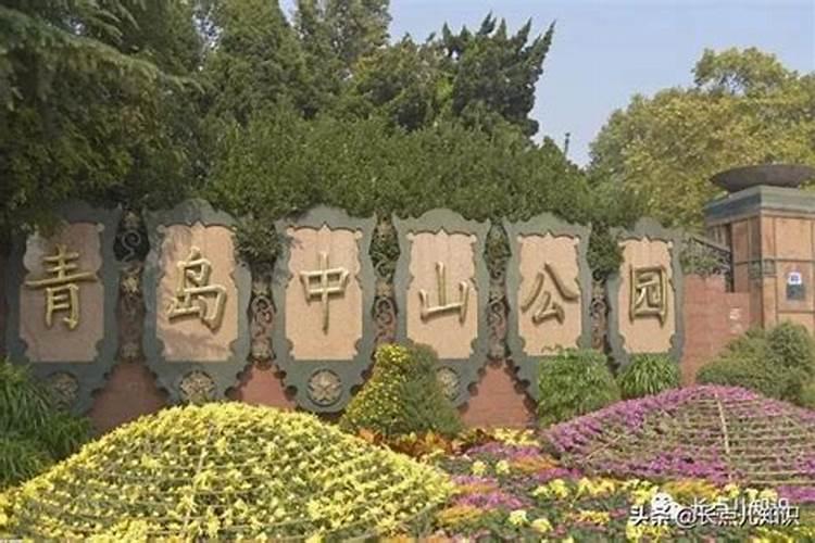 青岛施利夫化肥怎么样