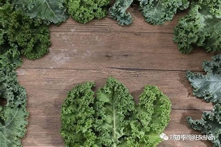 磷肥好还是尿素好 化肥和尿素哪个好