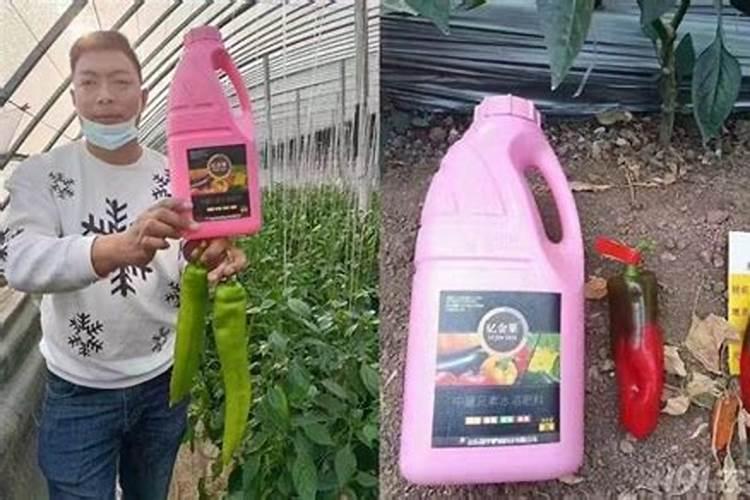 桔子树开花时能喷农药吗？