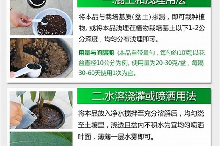大蒜最晚什么时候种植