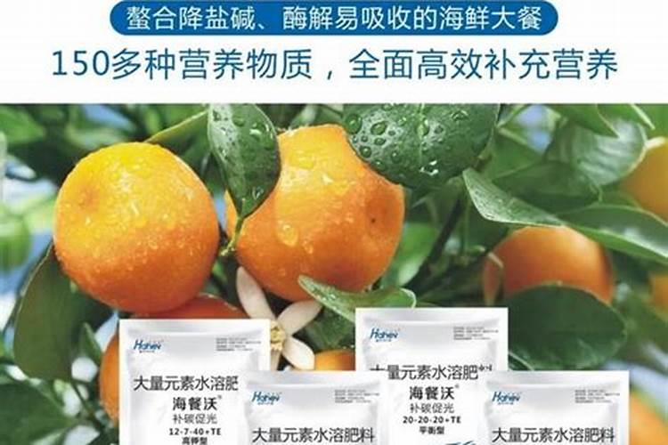 苹果树幼树秋季如何控长