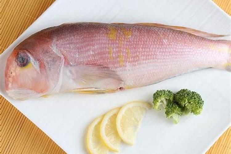 含磷的肥料有哪些