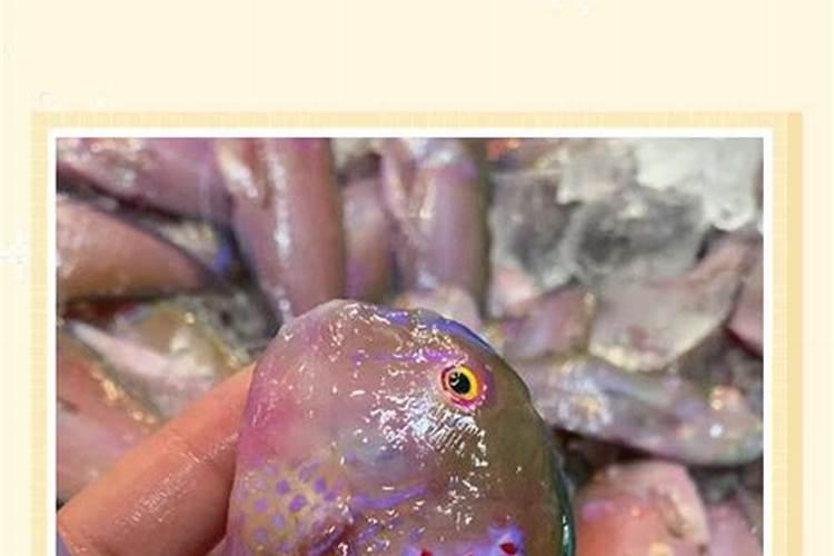 生活中哪些是有机磷钾肥？