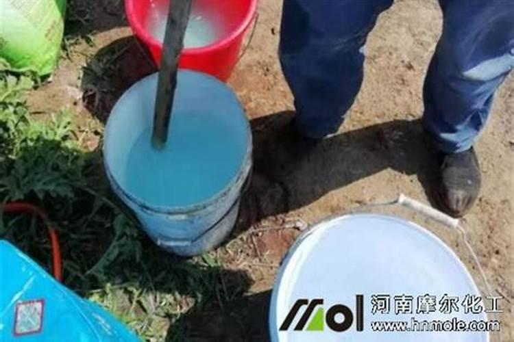 草莓喜肥吗 喜欢施什么肥料