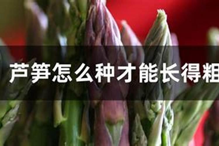 蟹爪兰叶片长的小是什么原因 蟹爪兰叶子很小是怎么回事
