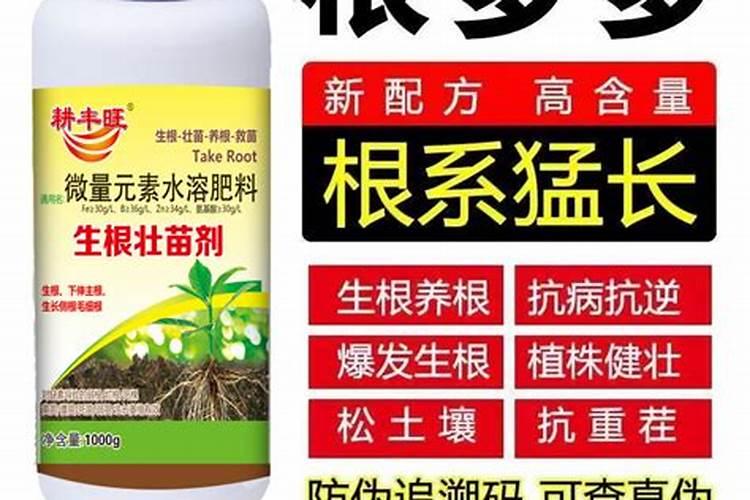 给树施肥用什么肥料