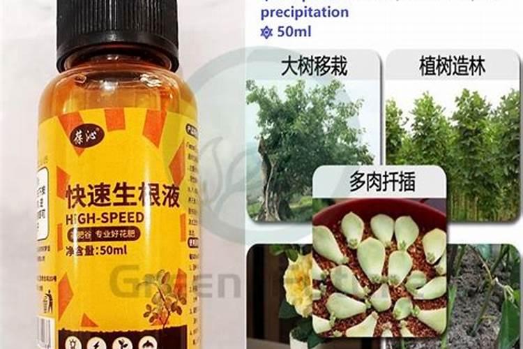 树木长根用什么肥？