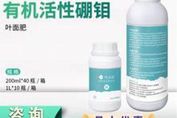 柳树皮发酵的简单方法