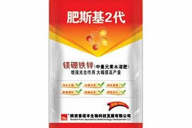 种植大白菜怎样施肥才产量高(种大白菜需要什么底肥)