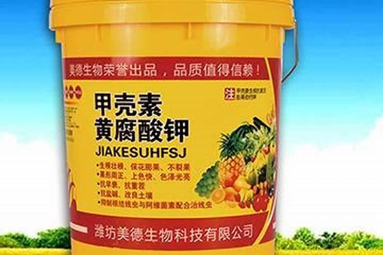 花果动力是什么叶面肥