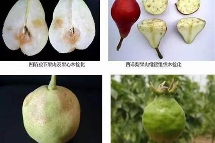 中谷农业(北京)有限公司怎么样？