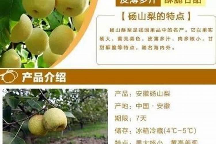 酥梨发芽晚缺什么元素？