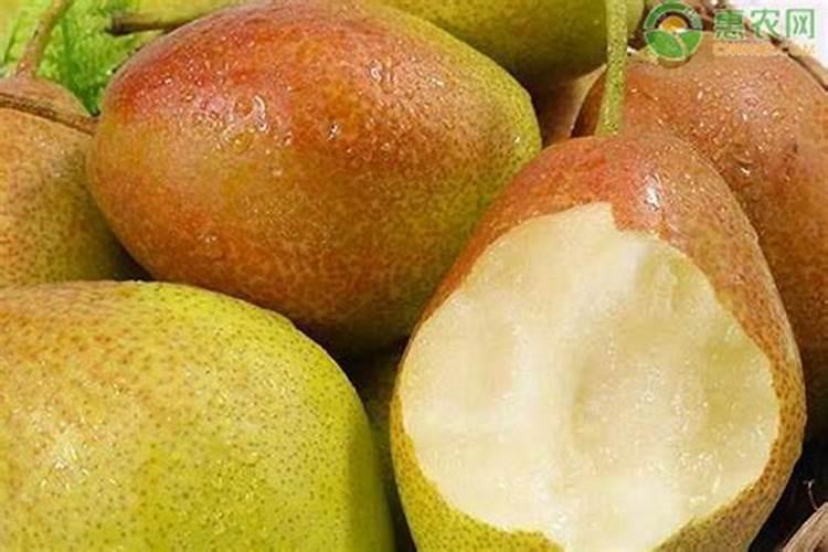 梨树缺铁黄化病病原