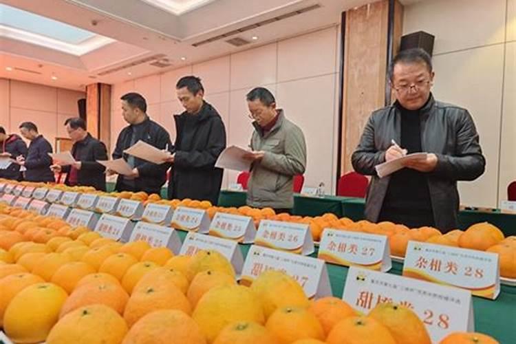 种柑橘用什么肥料最好