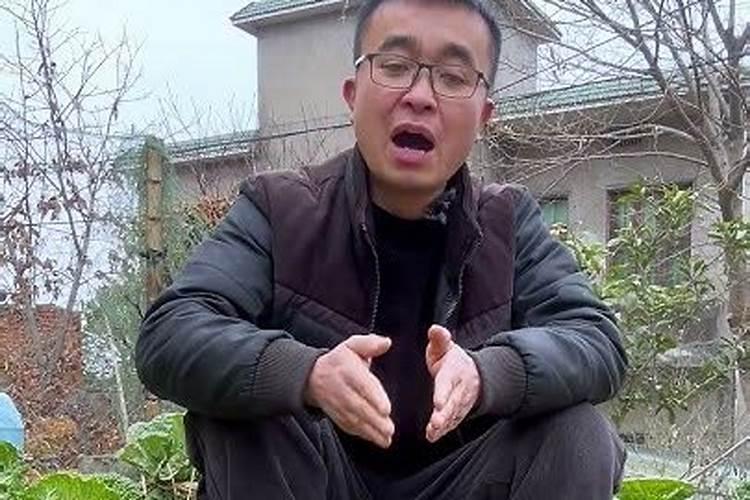 硝酸钾和硫酸钾哪个膨大好(膨果期用硝酸钾还是硫酸钾)