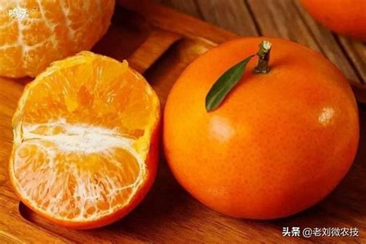 柑橘怎样能增甜 柑橘高产养殖方法总结