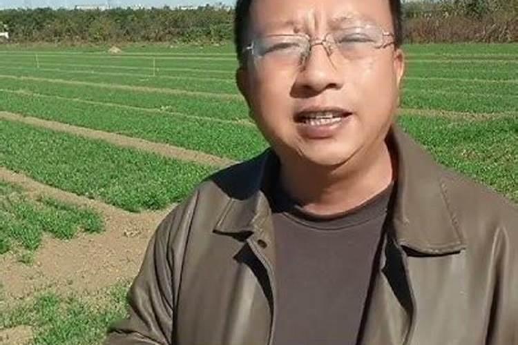 浓硫酸和硅会反应吗