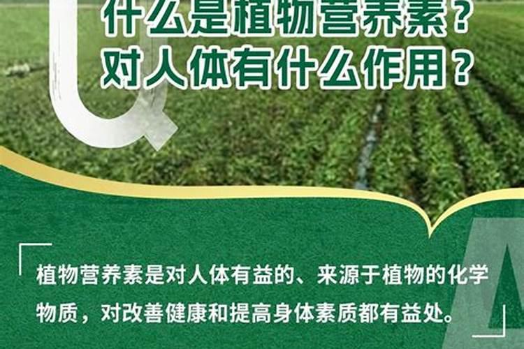 为什么草木灰是一种好钾肥？