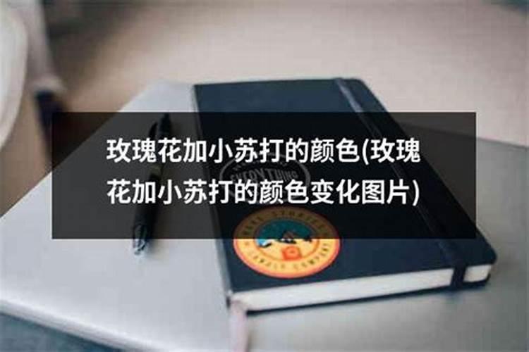 种植蔬菜时小苏打真的可以当农药使用吗？为什么？