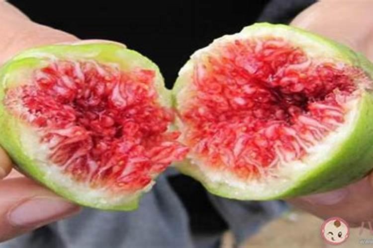 给杨柳树施肥是氯化钾好还是硫酸钾好？