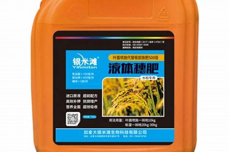 养茉莉,喂上“2种肥”,花苞满枝头,一茬接一茬开花