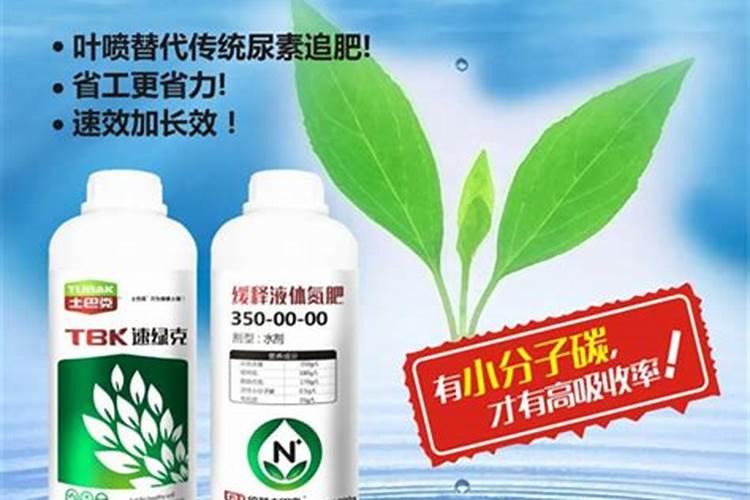 在沈阳种植五常稻花香如何防止倒伏？有何管理错施？