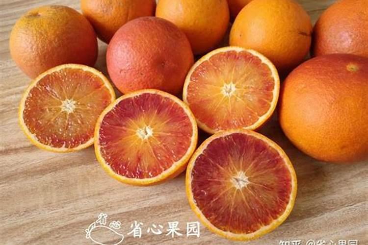 脐橙和果冻橙的区别是什么？