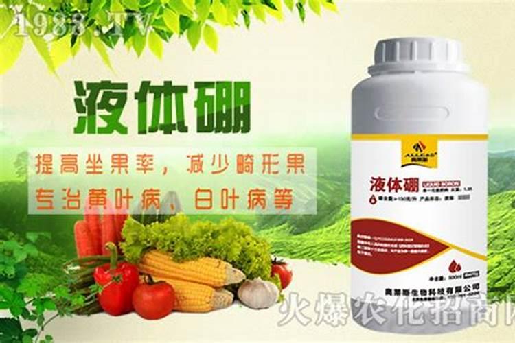 棉花在哪些土壤上容易出现缺硼症状？