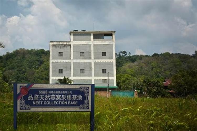 石榴树施什么肥最好